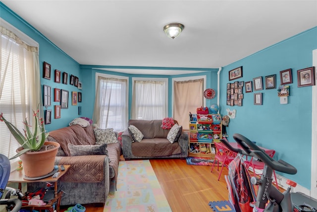 rec room with wood-type flooring