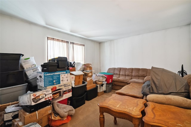 living room featuring carpet floors