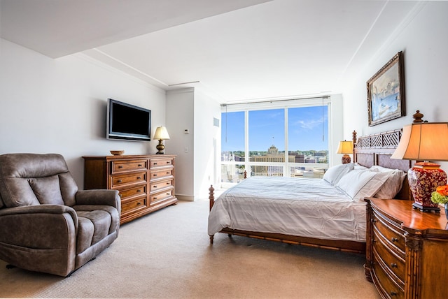 bedroom with a wall of windows and carpet flooring