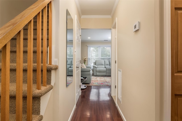 hall featuring ornamental molding and dark hardwood / wood-style flooring