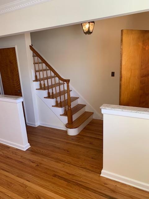 staircase featuring wood-type flooring