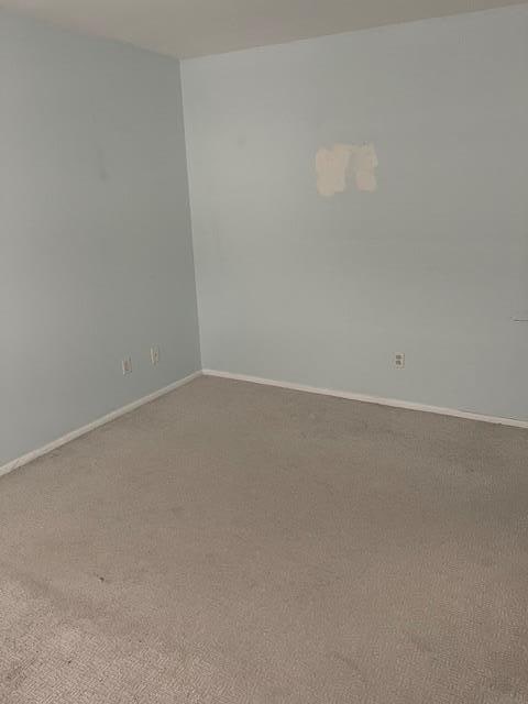 spare room with carpet flooring