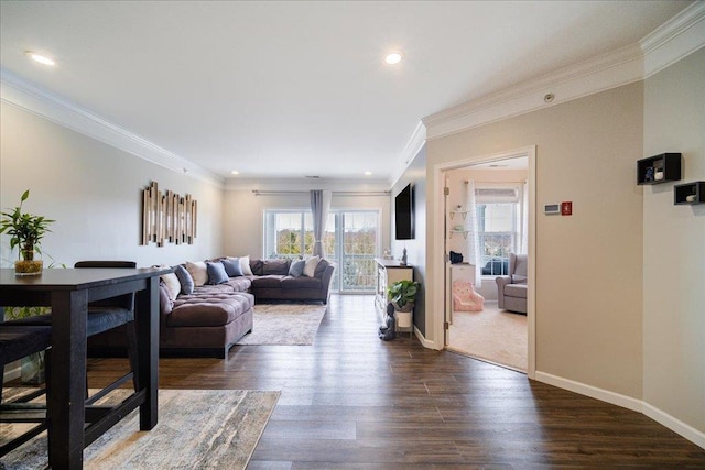 living area featuring crown molding, baseboards, dark wood-type flooring, and recessed lighting