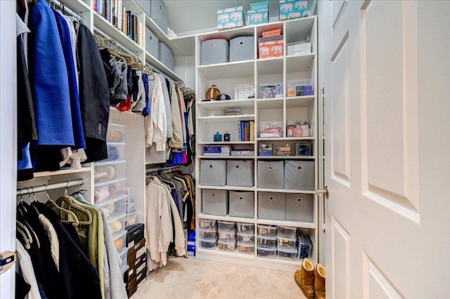 spacious closet with carpet flooring