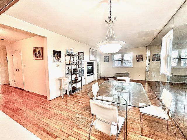 dining area with light hardwood / wood-style floors