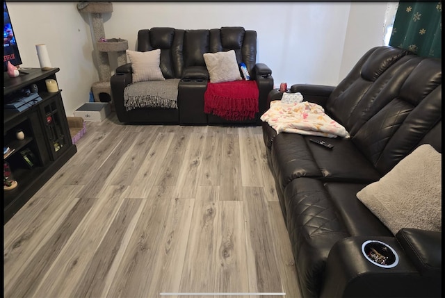 199 Dartmouth St, Hempstead, NY 11550 - living room featuring light wood-type flooring