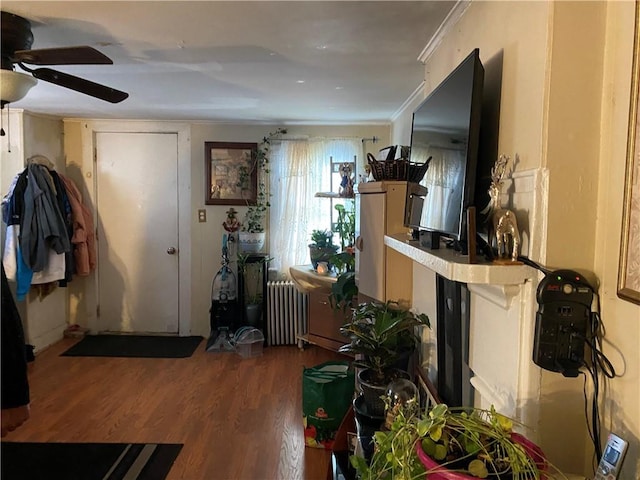 entrance foyer featuring radiator heating unit, ornamental molding, and wood-type flooring