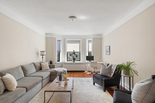 living room featuring hardwood / wood-style flooring, ornamental molding, and radiator heating unit