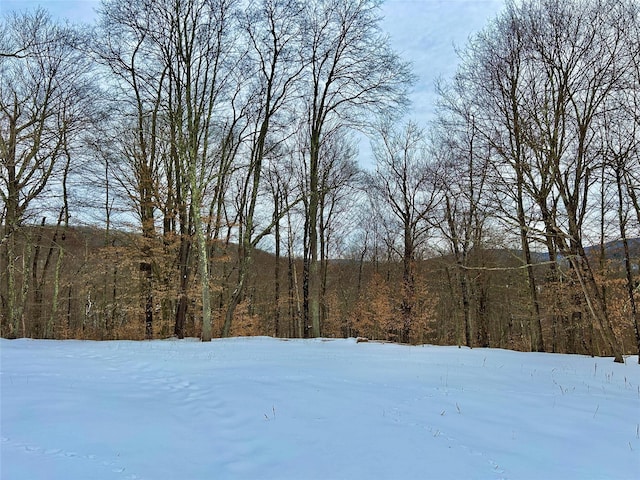 Listing photo 2 for TBD High Meadow Rd, Lew Beach NY 12758