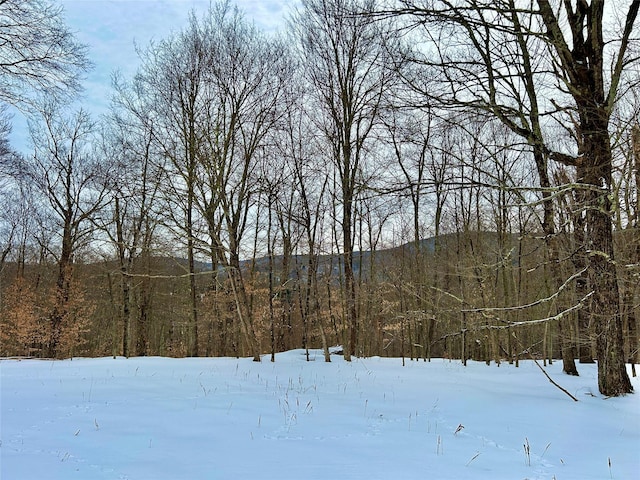 Listing photo 3 for TBD High Meadow Rd, Lew Beach NY 12758