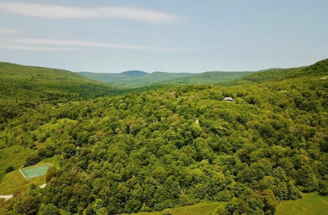 TBD High Meadow Rd, Lew Beach, NY 12758 - photo 1