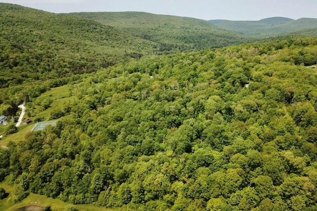 TBD High Meadow Rd, Lew Beach, NY 12758 - photo 2