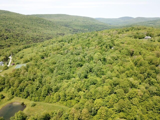 TBD High Meadow Rd, Lew Beach, NY 12758 - photo 3