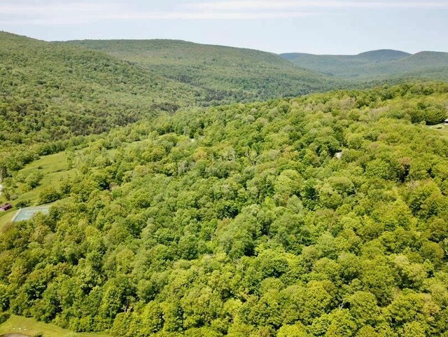 TBD High Meadow Rd, Lew Beach, NY 12758 - photo 4