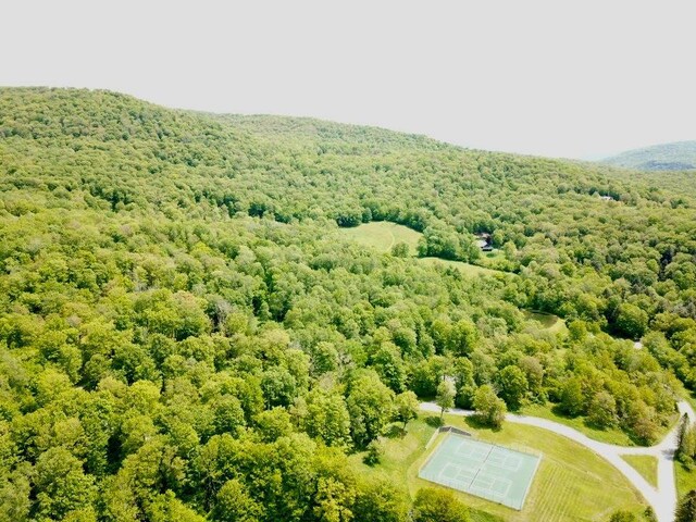 TBD High Meadow Rd, Lew Beach, NY 12758 - photo 5