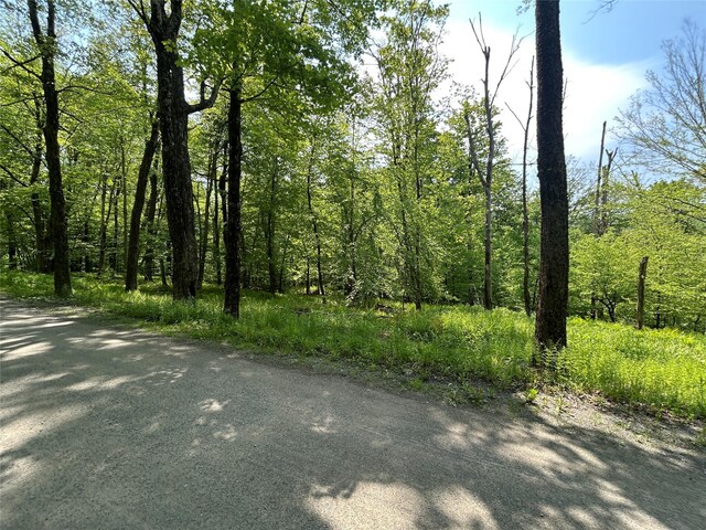 TBD High Meadow Rd, Lew Beach, NY 12758 - photo 6