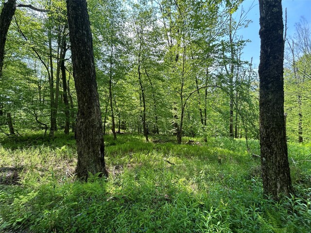 TBD High Meadow Rd, Lew Beach, NY 12758 - photo 7