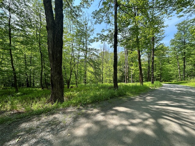 TBD High Meadow Rd, Lew Beach, NY 12758 - photo 8