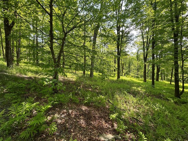 TBD High Meadow Rd, Lew Beach, NY 12758 - photo 11