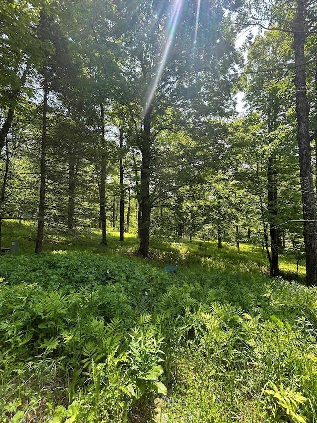 TBD High Meadow Rd, Lew Beach, NY 12758 - photo 12