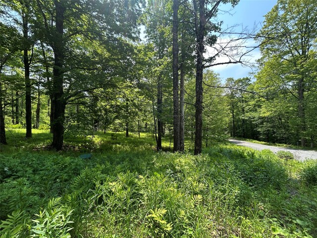 TBD High Meadow Rd, Lew Beach, NY 12758 - photo 13
