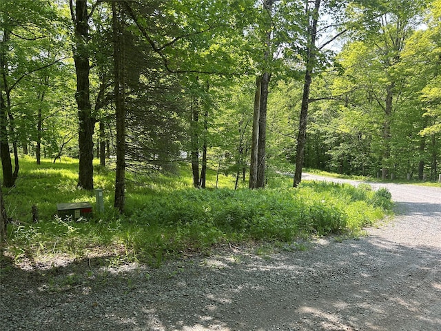 TBD High Meadow Rd, Lew Beach, NY 12758 - photo 14