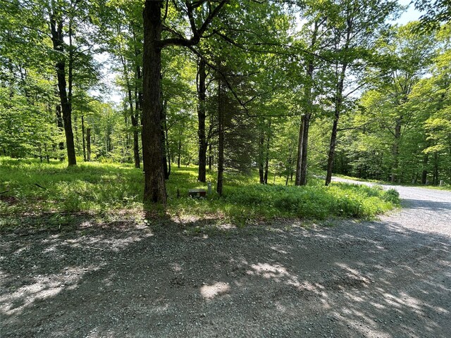 TBD High Meadow Rd, Lew Beach, NY 12758 - photo 15