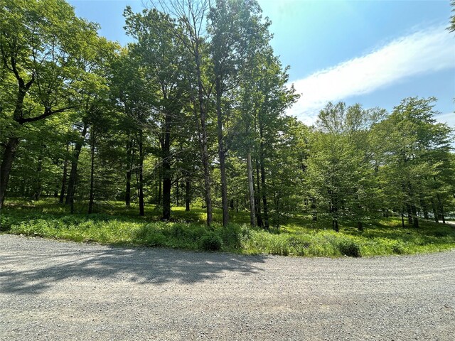 TBD High Meadow Rd, Lew Beach, NY 12758 - photo 16