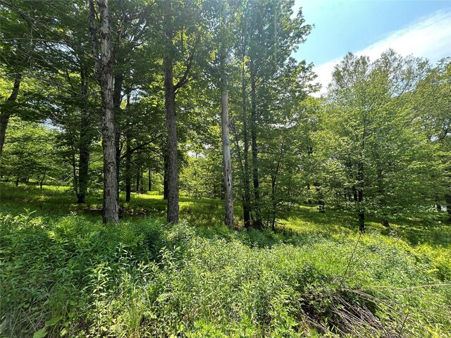 TBD High Meadow Rd, Lew Beach, NY 12758 - photo 17