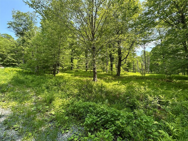 TBD High Meadow Rd, Lew Beach, NY 12758 - photo 18