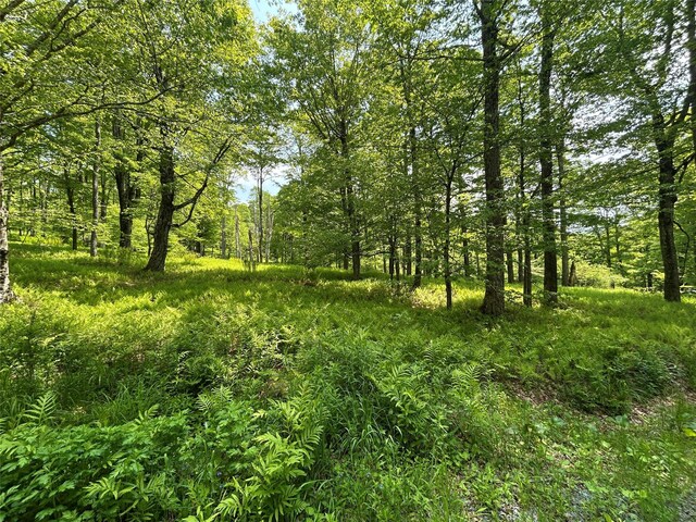 TBD High Meadow Rd, Lew Beach, NY 12758 - photo 19