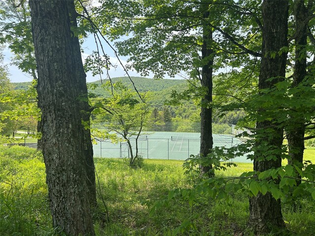 TBD High Meadow Rd, Lew Beach, NY 12758 - photo 20