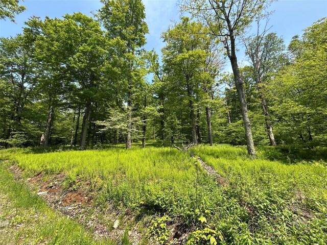 TBD High Meadow Rd, Lew Beach, NY 12758 - photo 21