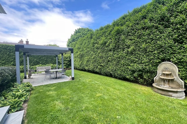 view of yard featuring a patio