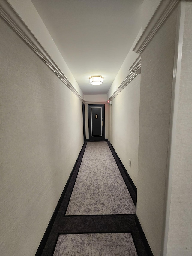 hallway featuring carpet flooring