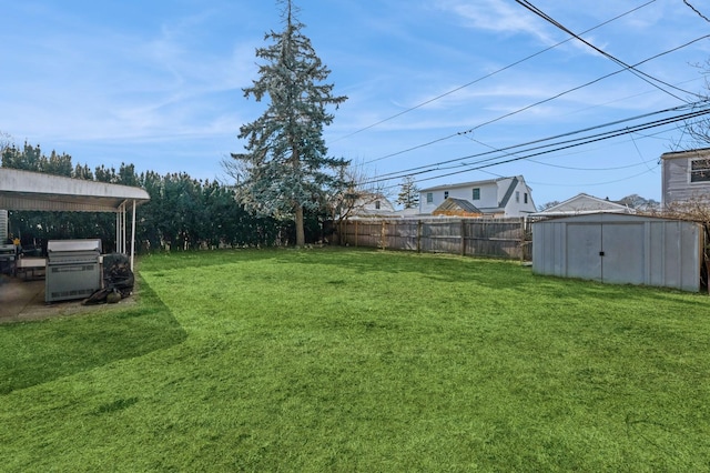 view of yard with a storage unit