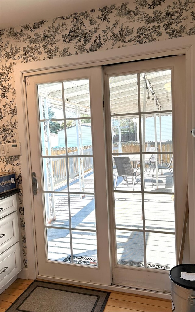 entryway featuring a wealth of natural light