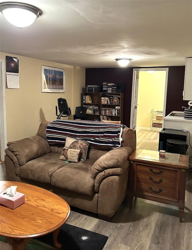 living room featuring hardwood / wood-style flooring and sink