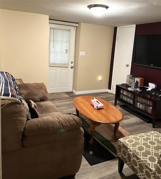 living room featuring wood-type flooring