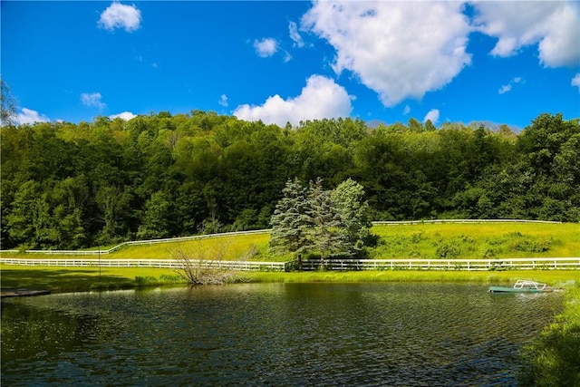 property view of water