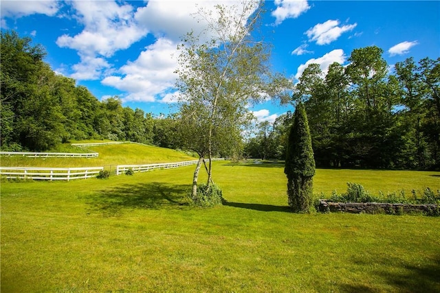 view of community with a yard and a rural view