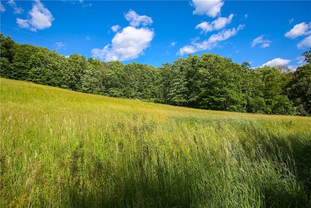 view of landscape