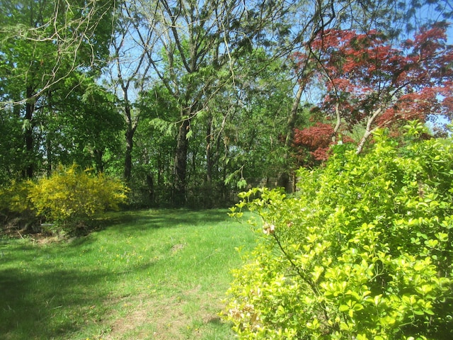 739 Lindbergh Ave, Peekskill, NY 10566 - view of yard with a view of trees