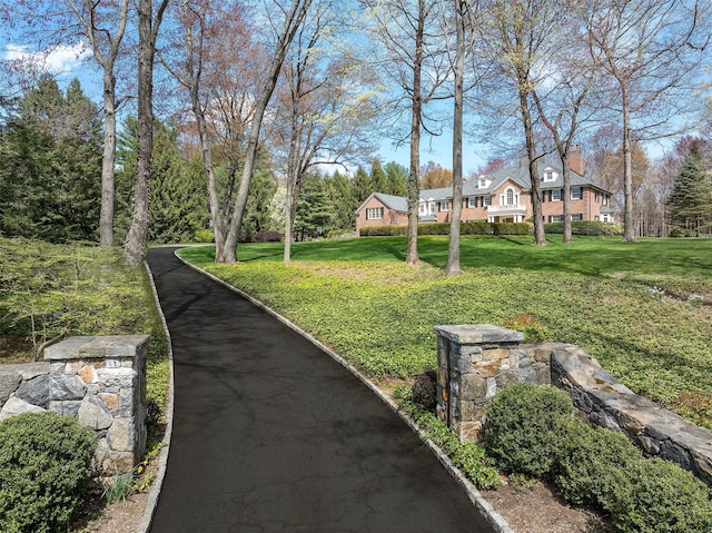 182 Taconic Rd, Greenwich, CT 06831 - view of yard