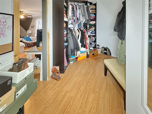 walk in closet featuring hardwood / wood-style floors and ceiling fan