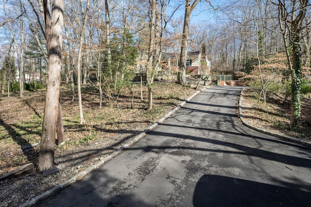 view of road with aphalt driveway