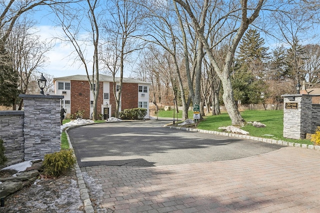 view of street with curbs