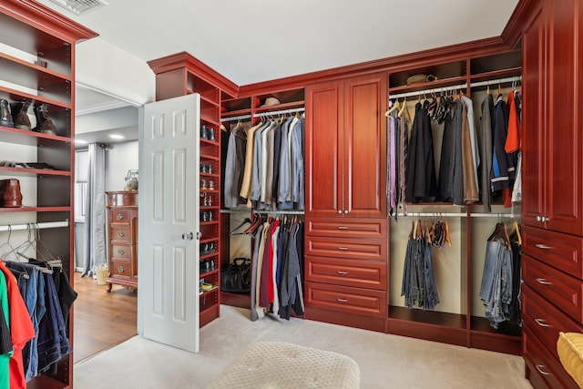 view of spacious closet