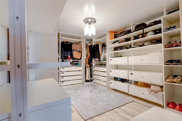 spacious closet with light hardwood / wood-style floors