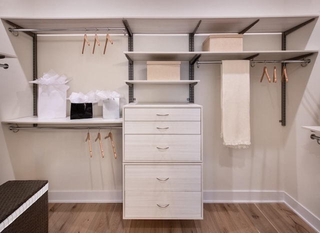 spacious closet featuring light wood-type flooring